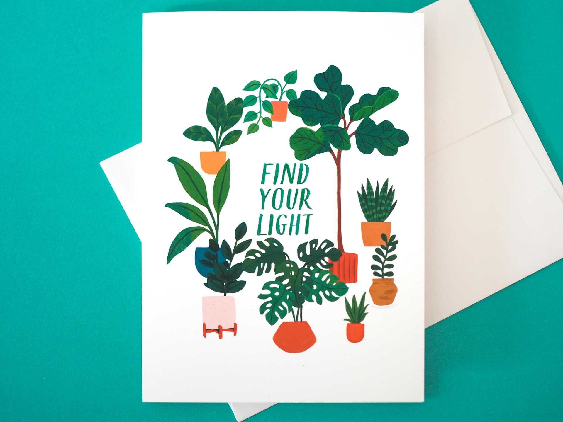 Find Your Light Plants Card
